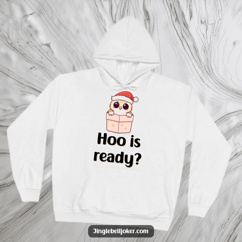 Funny Kawaii Owl Santa Hoodie, showing a cute owl peeking from a gift box, perfect for staying warm and festive.
